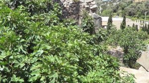 Крит. Ретимно. Деревнья Прасиес. Деревня с каменным дресс-кодом. Πρασιές 2019.