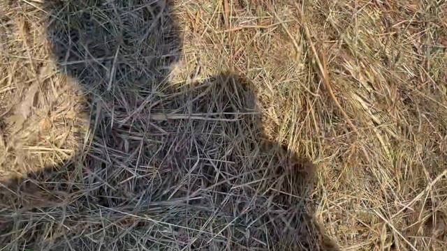 Как прошел сенокос Силами Семьи - Наша техника. Механизация труда и не только | Молодая Ферма