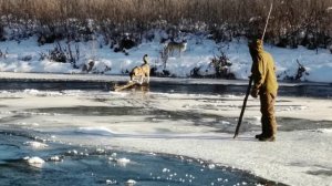 Бестолковые будни 2025