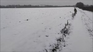 Поход , рыбалка, поиск мест с бомбардой, река Дон, мкр.Малышево, г.Воронеж, 10.12.2025 года