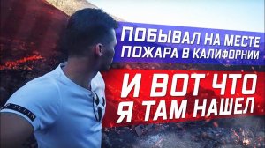Все серии ! / Сходил на места пожаров в Калифорнии \ Неожиданная находка на пепелище