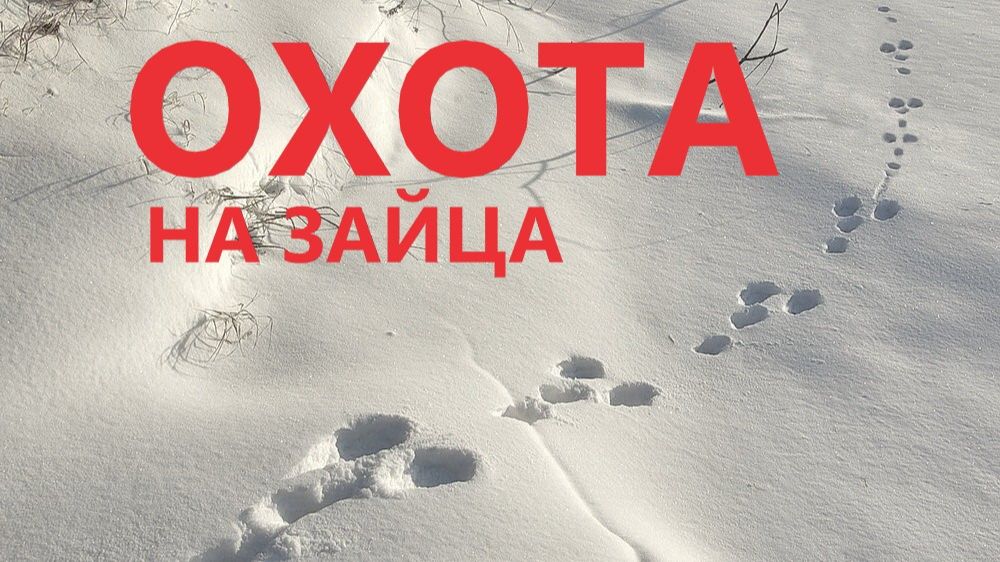 охота на зайца коекак распутал следы смотреть онлайн