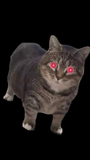 OIIA OIIA CAT  #oiia #oiiaoiiacat #oiiaoiia