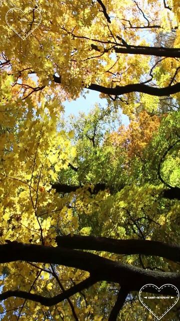 Санкт-Петербург #3