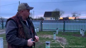 Работаю на МТЗ с утра и до вечера! Установили сваи под павильон ! Телята растут и нас радуют!