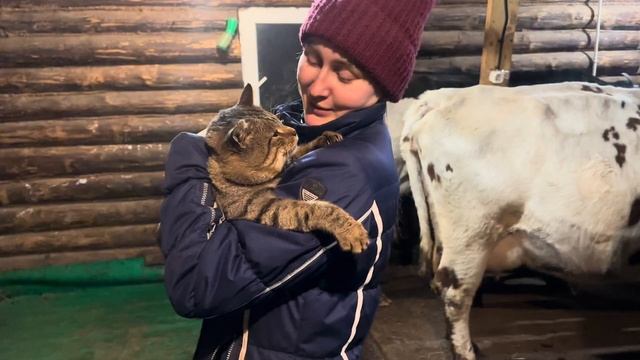 У нас появился помощник на ферме! Новые жители в курятнике! Ожидаем декабрьские отёлы! смотреть онлайн