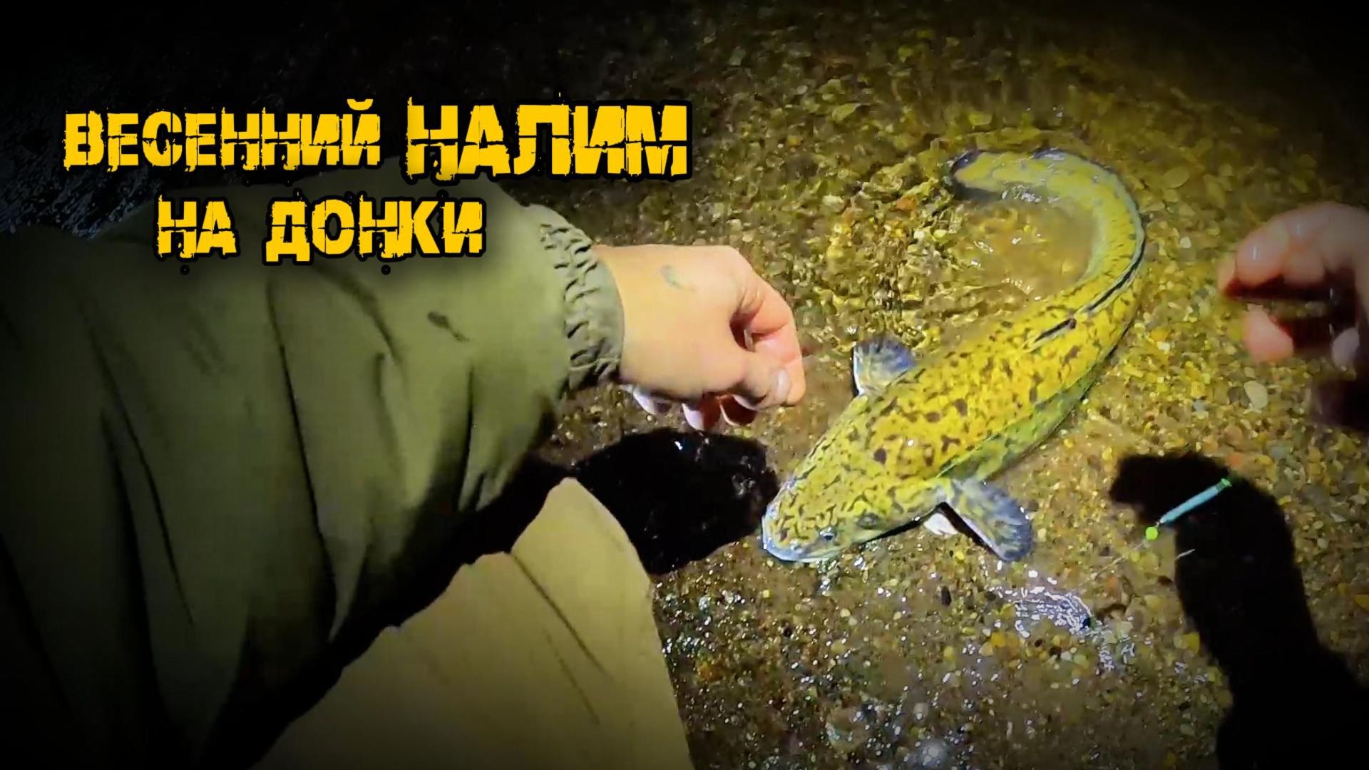 Съездил к налимам и даже забрал немножко домой, р.Кама