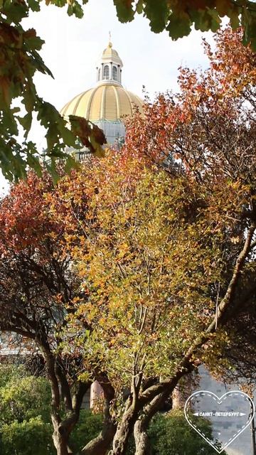 Санкт-Петербург #2