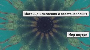 Матрица исцеления и восстановления всего тела божественными энергиями