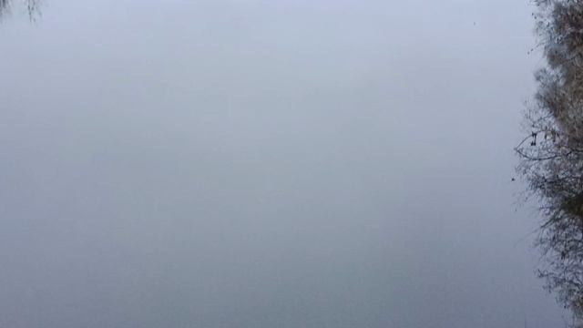 #прогулка по подвесному Мосту природа смотреть онлайн