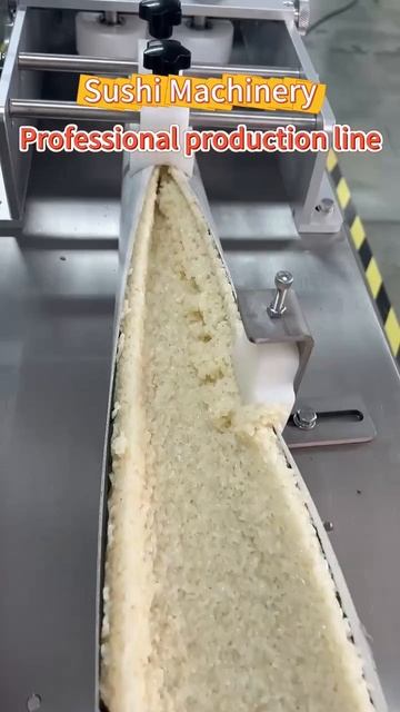 Автоматическая линия по производству суши-роллов. 1. Общий вид.