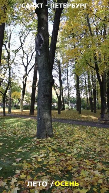 Санкт-Петербург #4