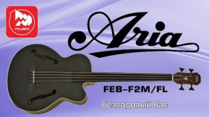 Электроакустический безладовый бас ARIA FEB F2М⧸FL(1)