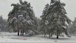 Рустам Батербиев - Падал белый снег