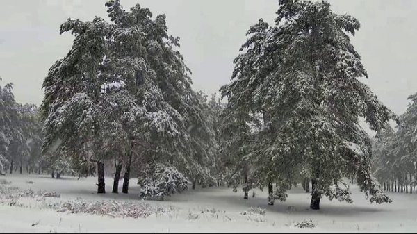 Рустам Батербиев - Падал белый снег