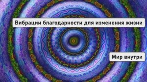 Высокие вибрации благодарности для изменения жизни