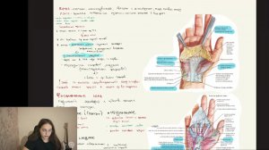 топографическая анатомия кисти