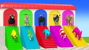 Веселые игры с слоном, гориллой, бегемотом, тигром - 3D игра с животными - Забавные 3D животные