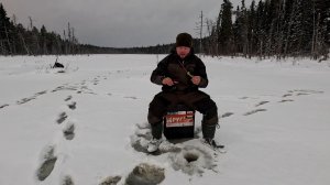 На этом озере никто не рыбачил. Рыбалка на севере Карелии. Ставлю самоловки на щуку. Рыбалка в тайге