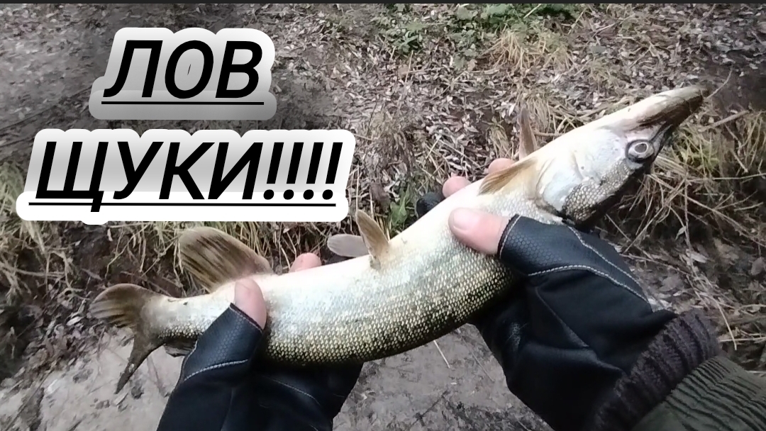 ЛАЙТОВАЯ РЫБАЛКА НА ЩУКУ ЛОВЛЯ ДЖИГОМ/НАХОДКИ НА РЕЧКЕ смотреть онлайн