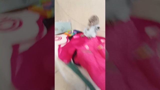 что надо взять на дачу на 1 день смотреть онлайн