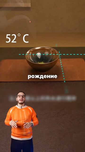 Так начиналось приготовление смотреть онлайн