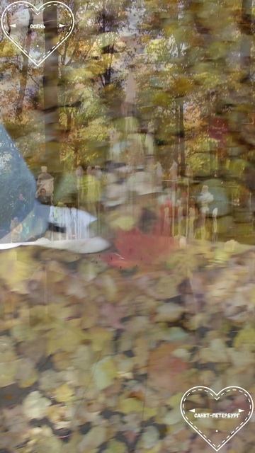 Санкт-Петербург #5