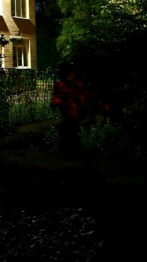 OIIA CAT преследует меня!!!  #oiia #oiiaoiiacat #oiiaoiia