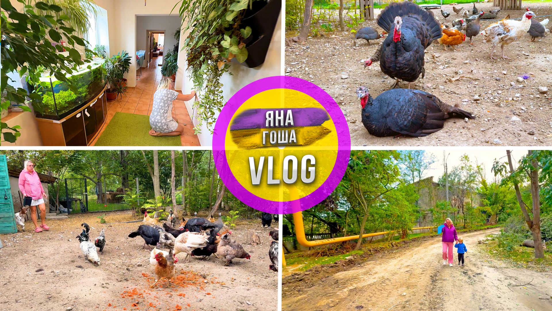 Ферма: Что будет с молодой козочкой? Индюки опять не те? Ферма. Крым всё краше! Уборка дома. смотреть онлайн