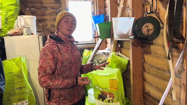 Будни на ферме! Уезжает помощник! Осеменяем двойняшек- голштинок! смотреть онлайн