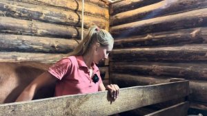 Штормовое предупреждение, гроза, молния- у нас ОТЁЛ В ПОЛЕ! Кого принесла Полянка?