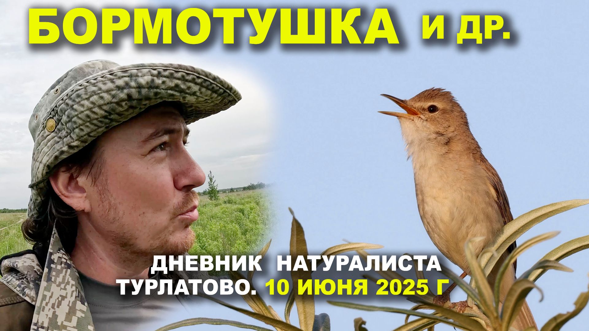 Птицы Турлатова. Дневник 10 июня 2025 г. смотреть онлайн