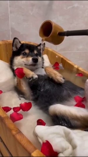 у кого так же?