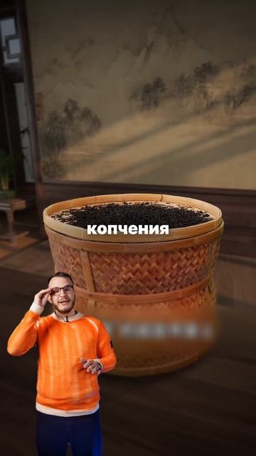 Все начинается завяливание смотреть онлайн