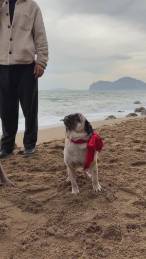 ДЖОНИ ПОХТИЛ НЕЗНАКОМЕЦ 😭 2 ЧАСТЬ