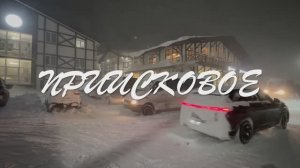 Приисковое 12-2025