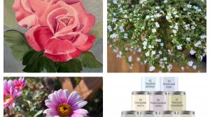 Ремонт к Новому Году! Начала черенковать!