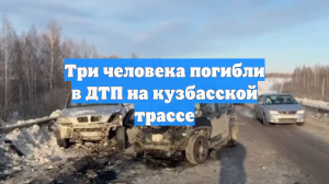Три человека погибли в ДТП на кузбасской трассе