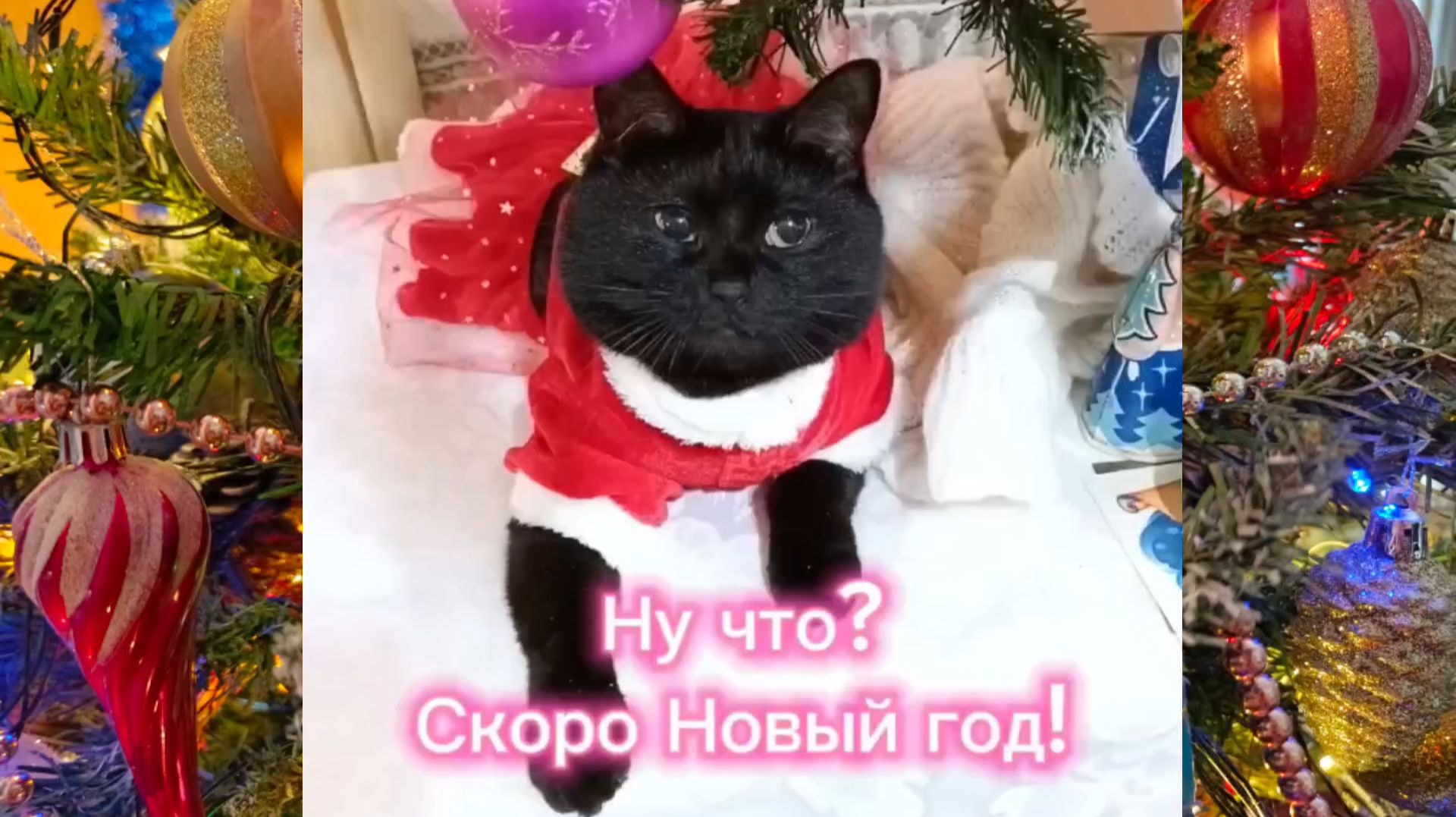 Скоро Новый год 🎄 смотреть онлайн