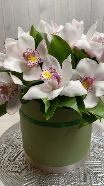 Композиция из белых орхидей в шляпной коробке смотреть онлайн