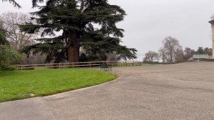 Секрет лёгкой манифестации: Невилл, Диспенза и Мерфи говорили об одном