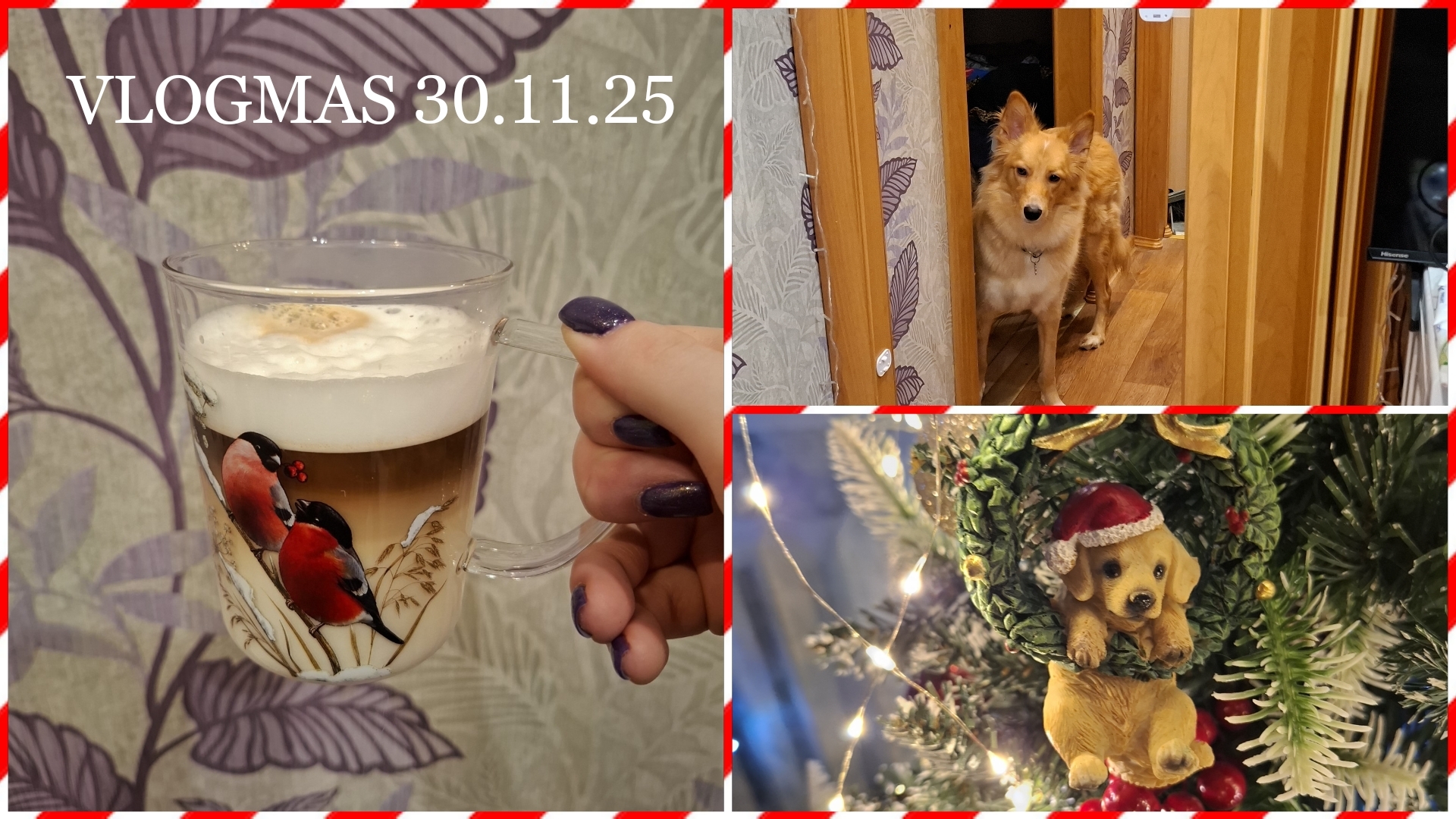 VLOGMAS 30.11.25: Я НАУЧИЛАСЬ ДЕЛАТЬ ЛАТТЕ/НОВОГОДНИЕ ВОСПОМИНАНИЯ ИЗ ДЕТСТВА/СОБАКА-ЛЮБЯКА