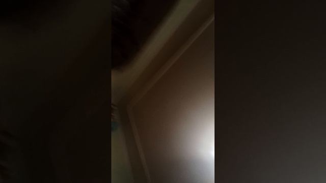 придумайте название сами и напишите его в комментах смотреть онлайн