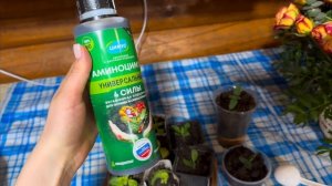 Оформляем кредит и будем развиваться дальше! Скоро приедет новое оборудование для молочного цеха!