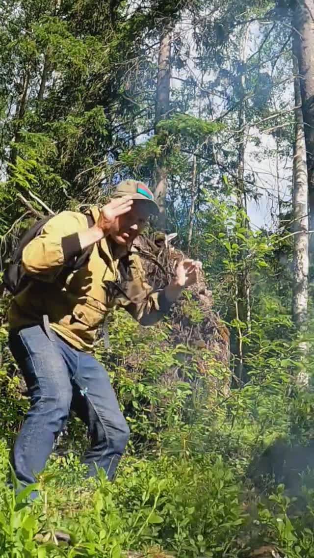 Медведь бродит за грибником, как защищаться от зверя в лесу. смотреть онлайн