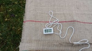 Как формирует клуб среднерусская пчела.