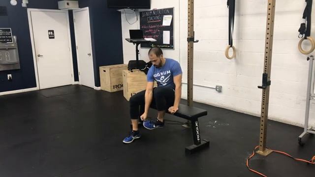 Разгибания ног с резиной сидя / Banded Knee Extension смотреть онлайн