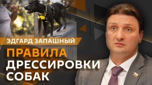 Эдгард Запашный и Нина Ватт. Какие собаки выступают в цирке и кто такие догхантеры