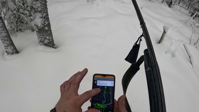 Охота с гончим на зайца