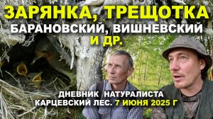 Птицы Карцевского леса. Дневник 7 июня 2025 г.